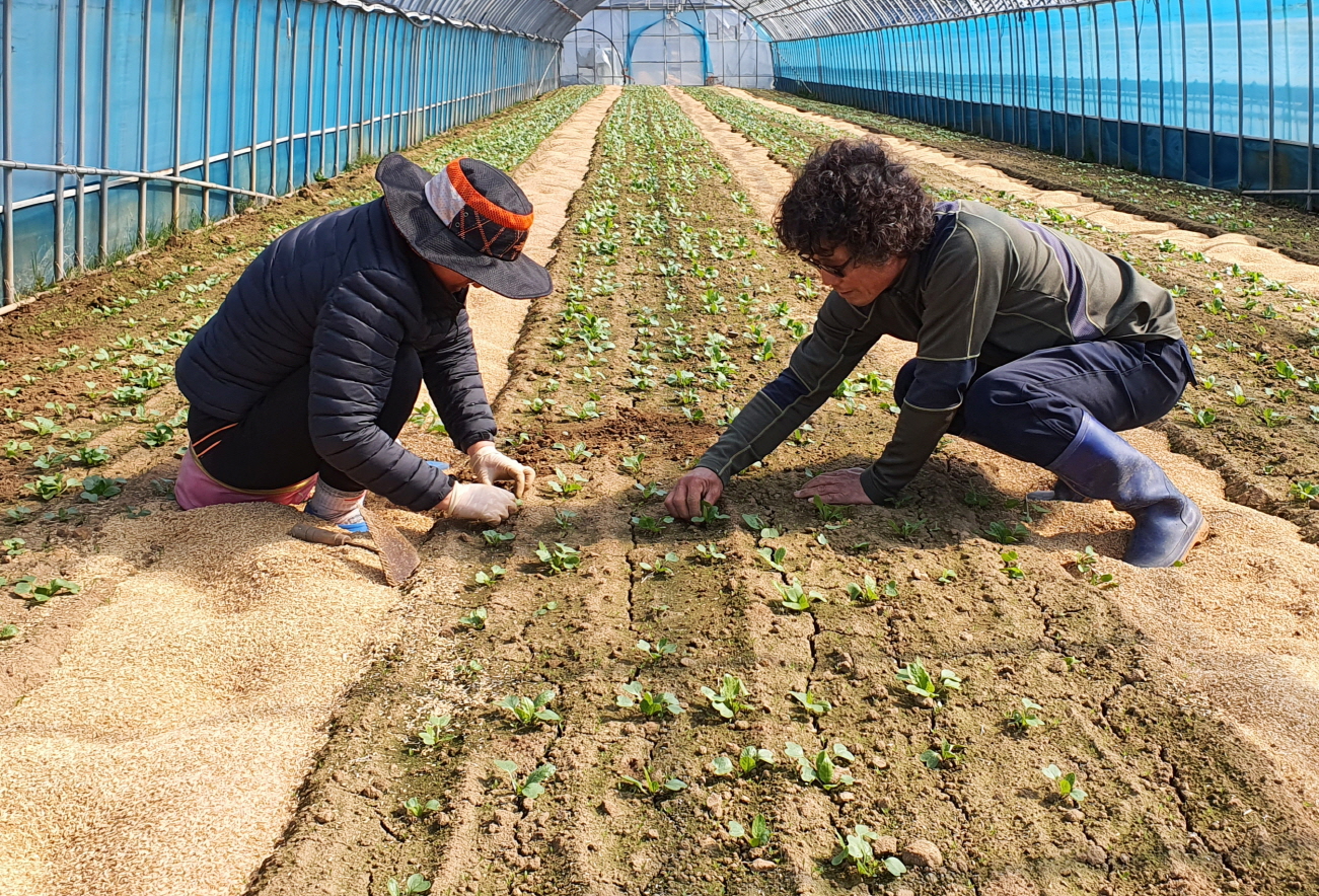태안군, 고품질 농특산물 생산 위한 ‘친환경농업 기반 구축’ 주력