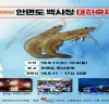 ‘가을 대하의 본고장‘ 태안 대하축제 11일 개막!