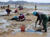 태안군, ‘어촌특화지원사업’ 공모 선정
