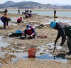 태안군, ‘어촌특화지원사업’ 공모 선정